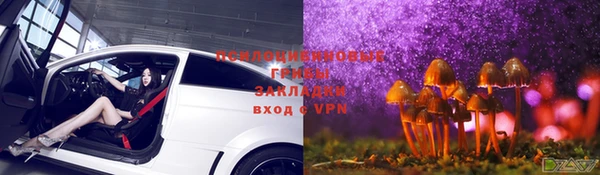 гидропоника Алзамай