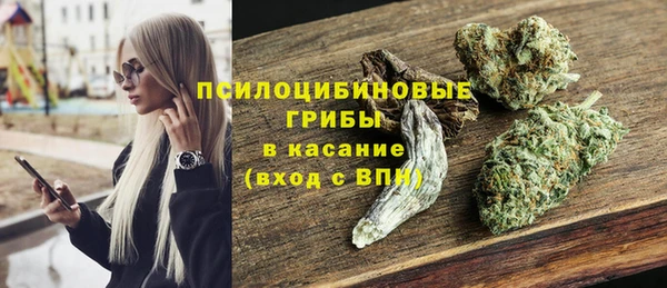 гидропоника Алзамай