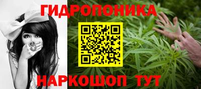 прущие крисы Кулебаки