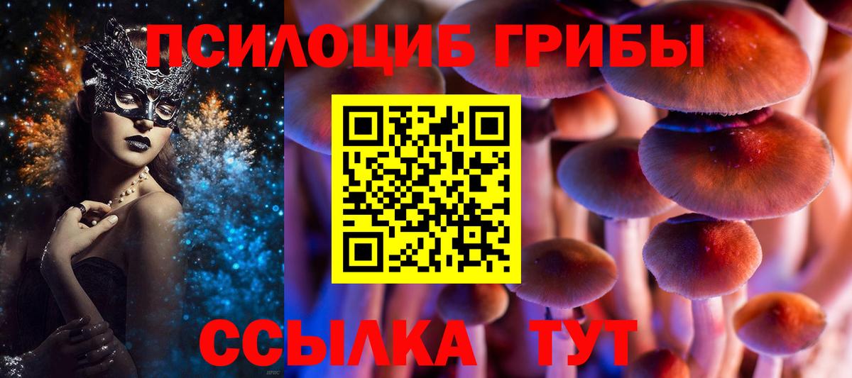 Псилоцибиновые грибы Cubensis  Вход с VPN  Еманжелинск  Псилоцибиновые грибы Psilocybe 