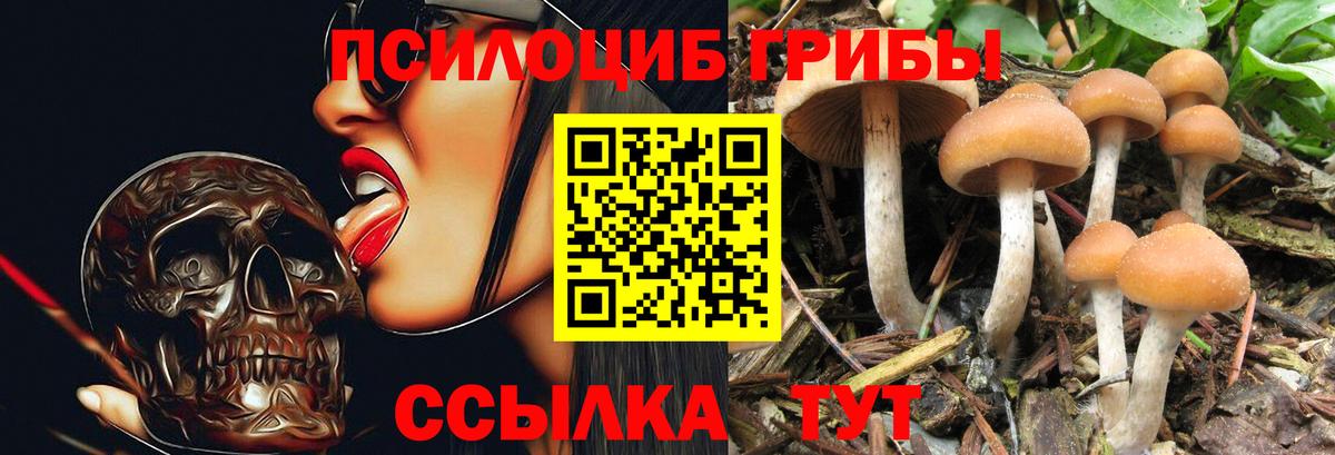 Псилоцибиновые грибы мицелий Еманжелинск